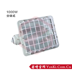 BTd51-(1000W)